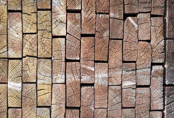 Carpenteria in legno fresco o essiccato?